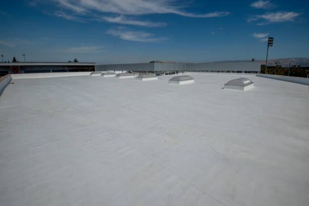 Best Sheet Metal Roofing  in Pinehurst, TX