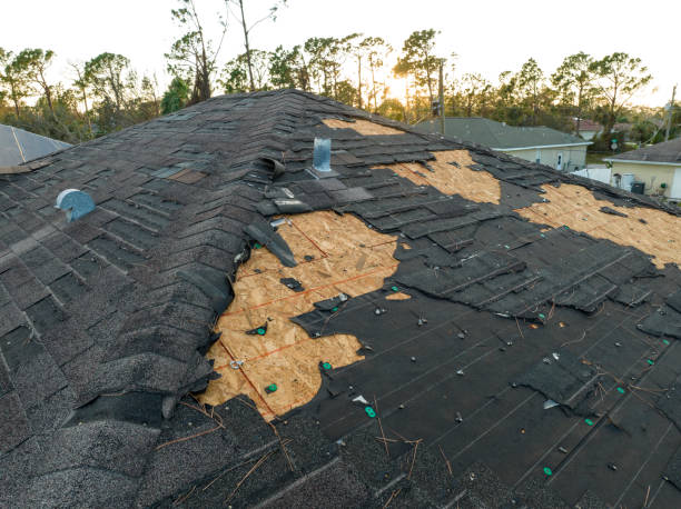 Professional Roofing service in Pinehurst, TX